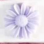 1719349032640.webp