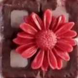 1719350157218.webp