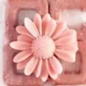 1719350755788.webp