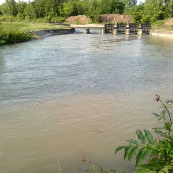 1720329790348.webp