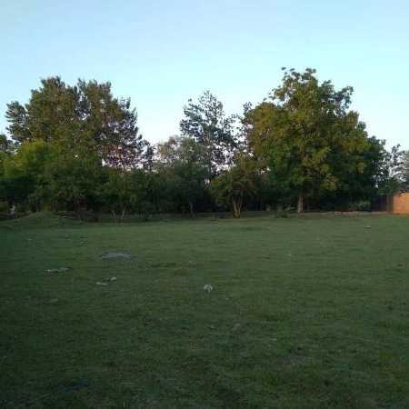1720329797935.webp