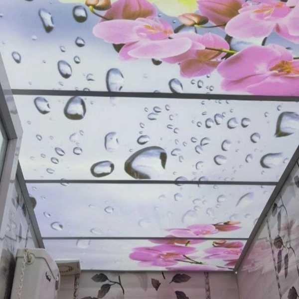 1720852764574.webp
