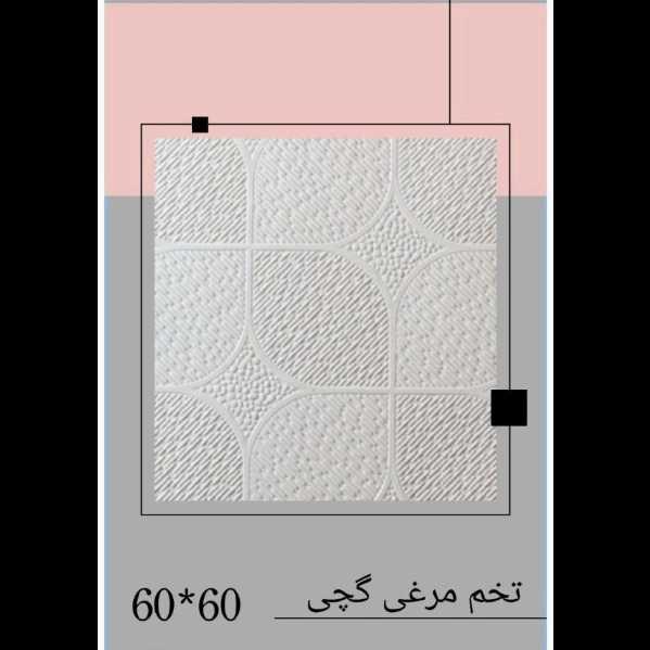 1722331169433.webp