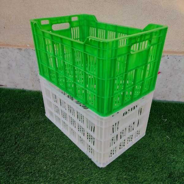 1723098537516.webp