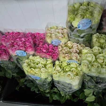1723101451104.webp