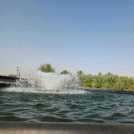 1723269868700.webp
