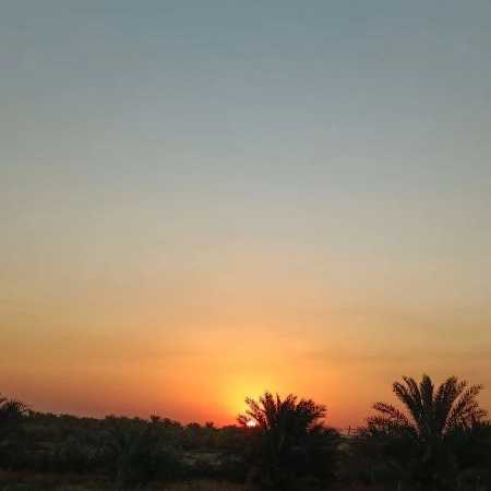 1723269890724.webp