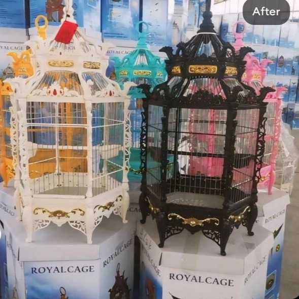 1723698968011.webp