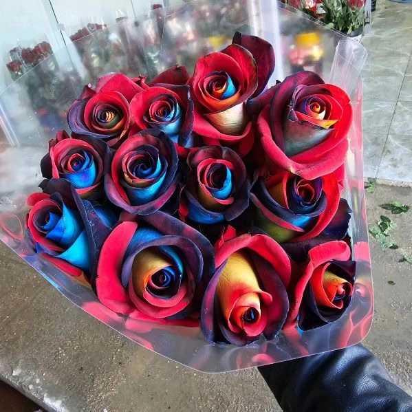 1724741657841.webp