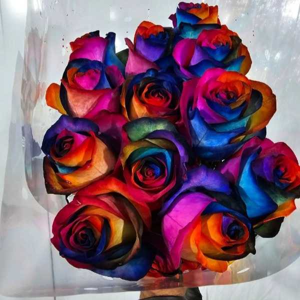 1724741754054.webp