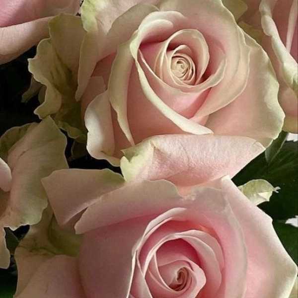 1724744508632.webp