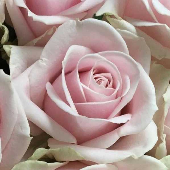 1724744533252.webp