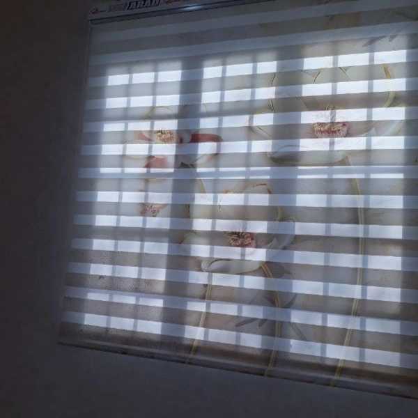 1725168542234.webp