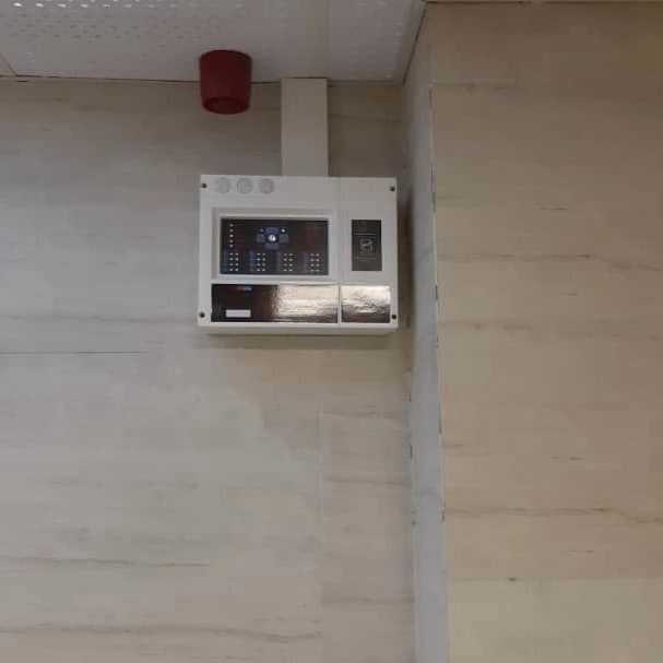 1727166552553.webp