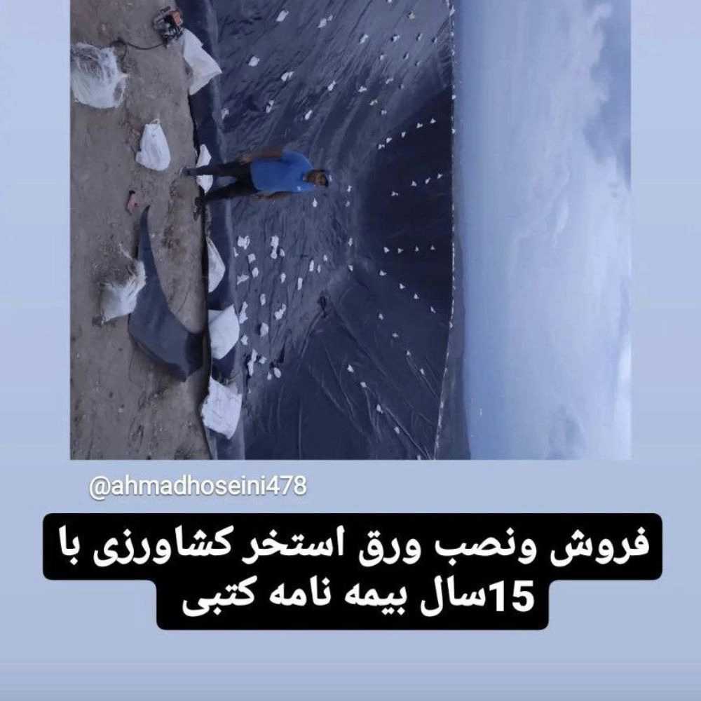 1727512980928.webp