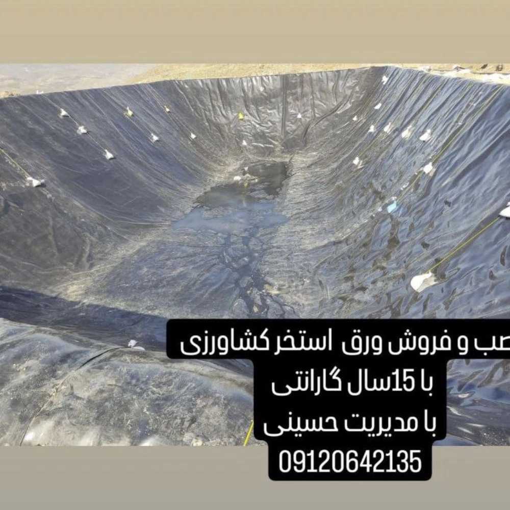 1730786406417.webp