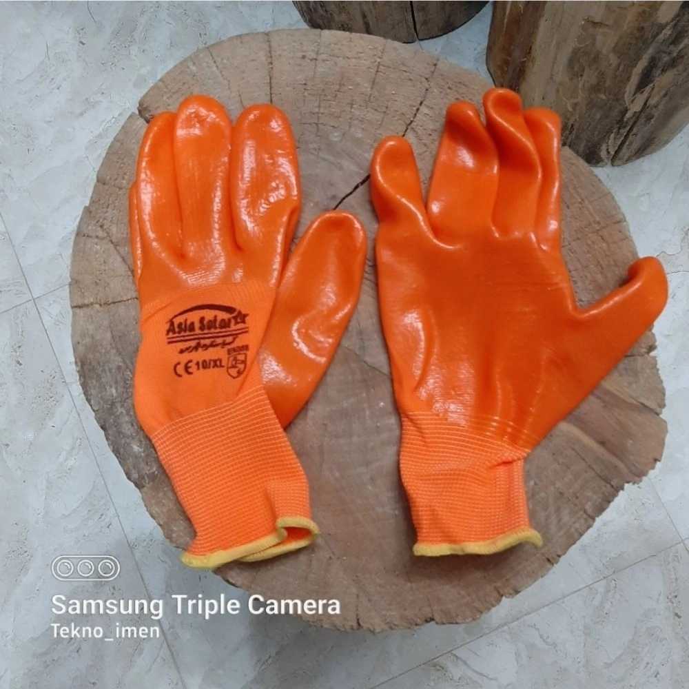 1736434304543.webp