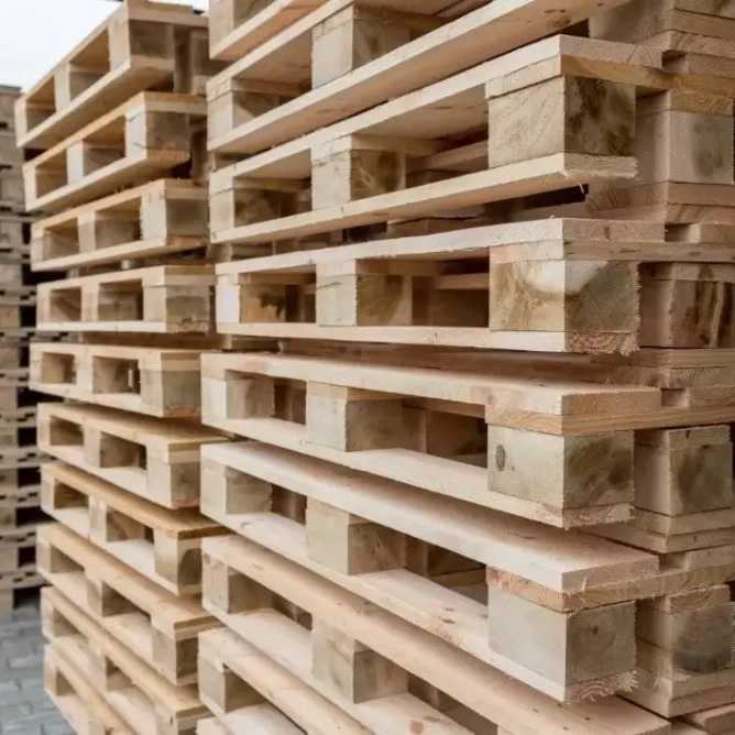 1738215172312.webp
