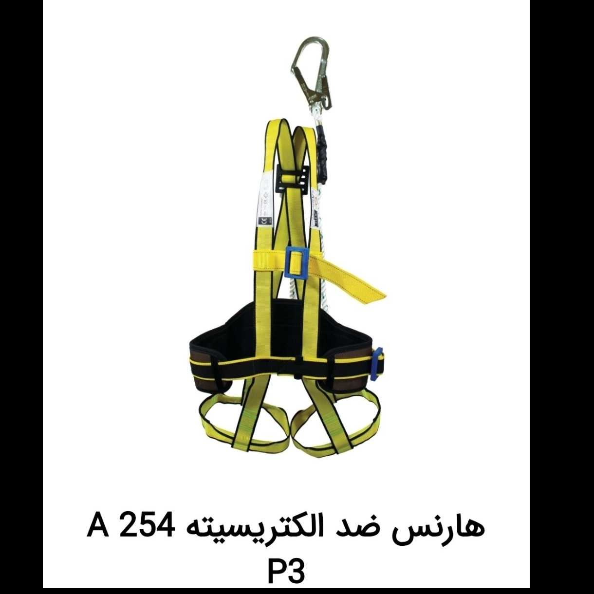 1739541182154.webp