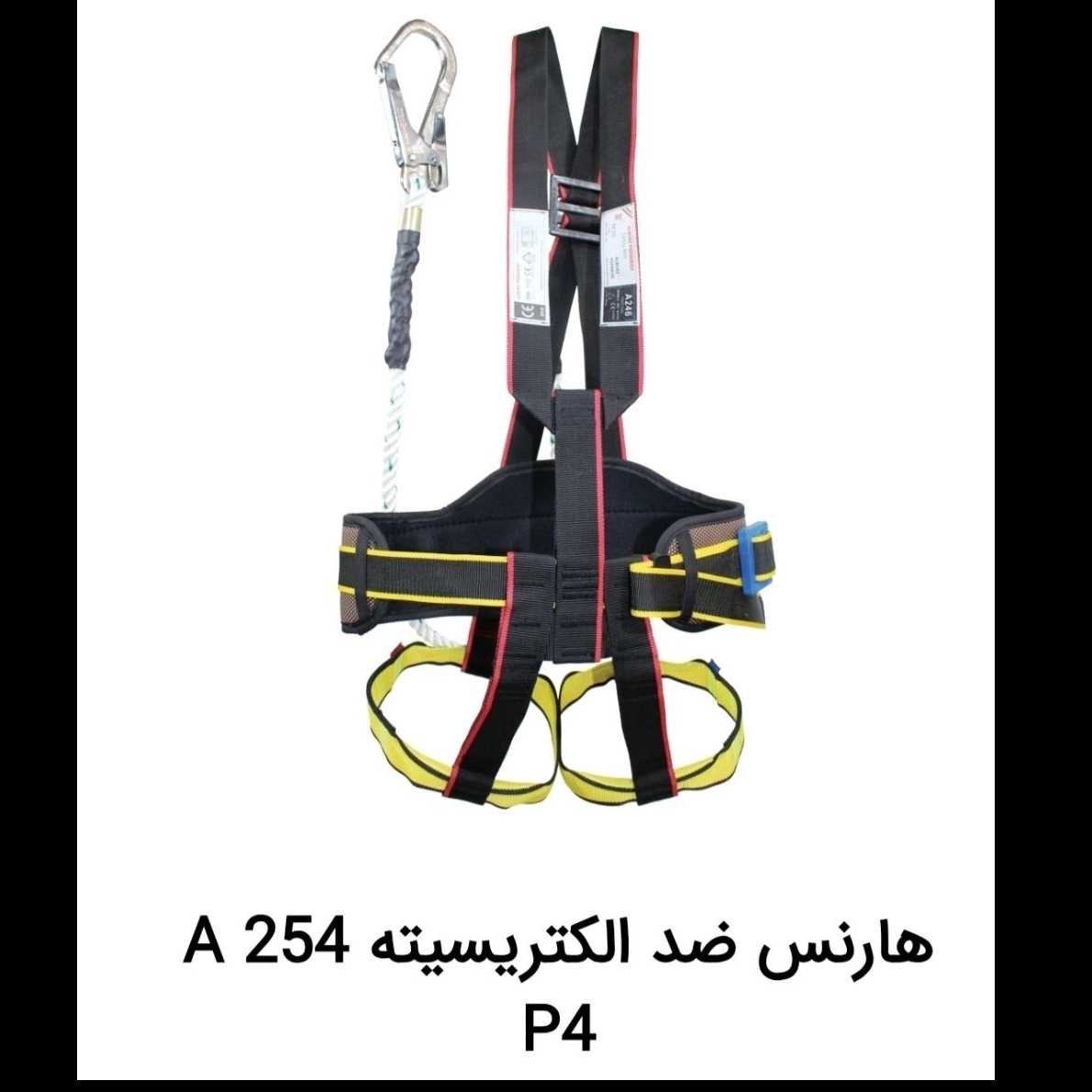 1739541247663.webp