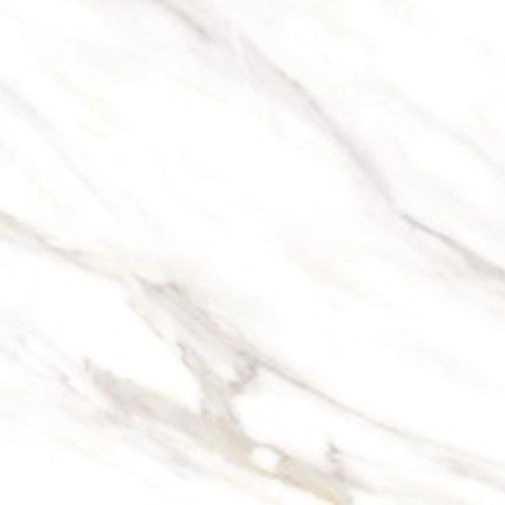 1740463817757.webp