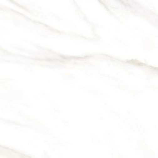 1740463853003.webp