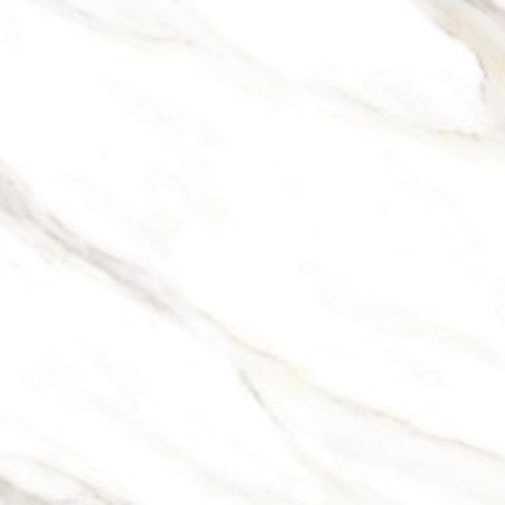 1740463901371.webp
