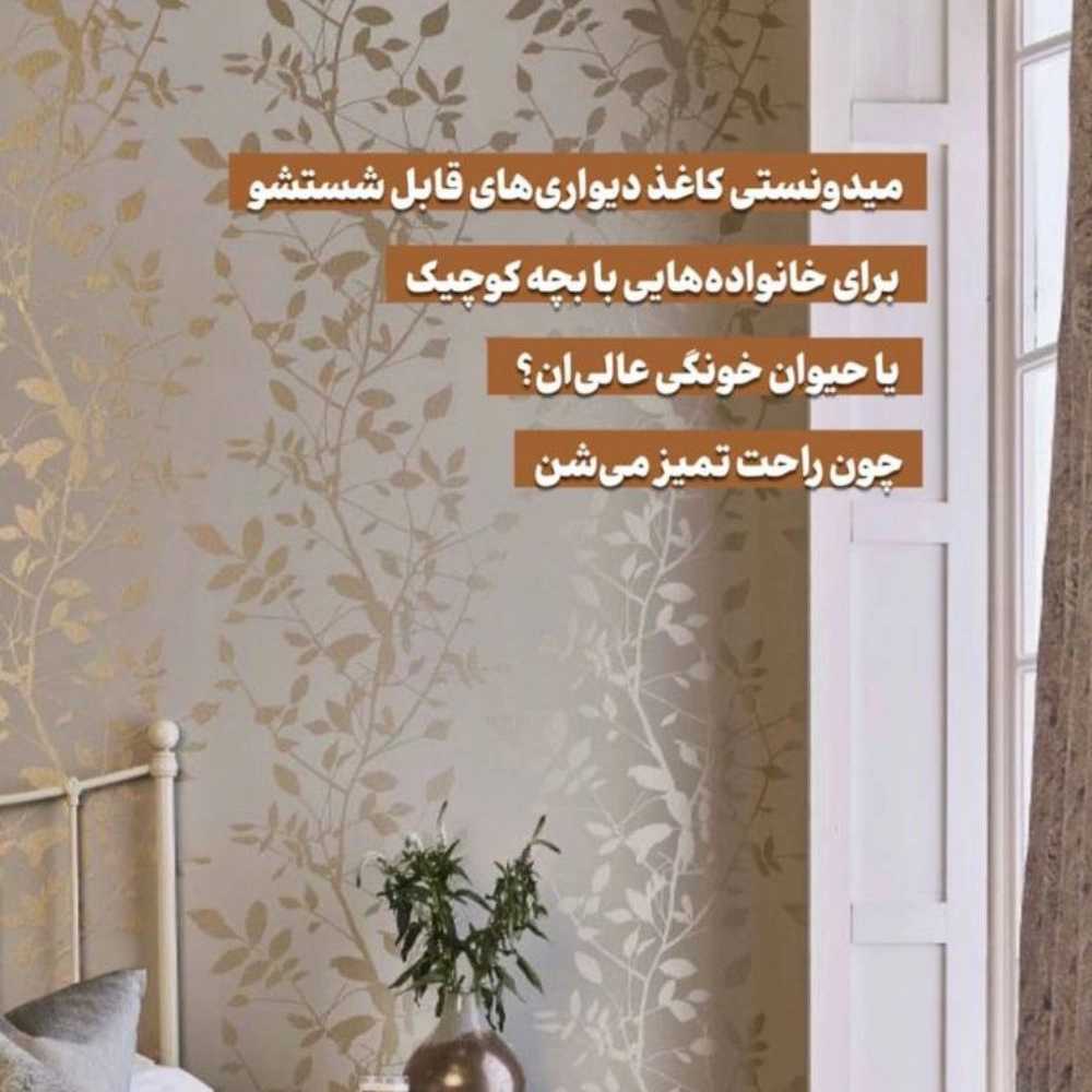1752995628038.webp