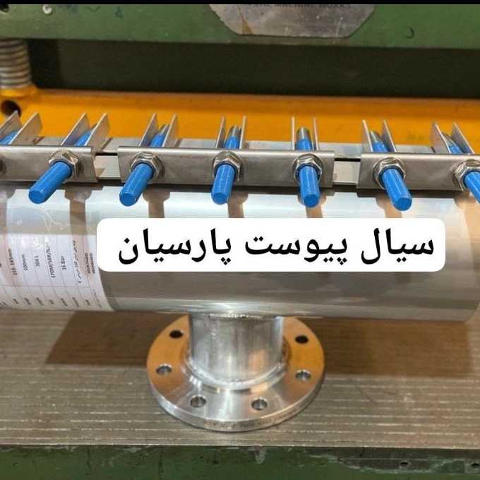 1758394538036.webp