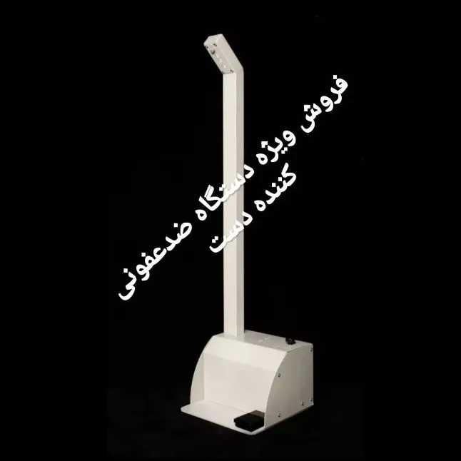 1690968353532.webp