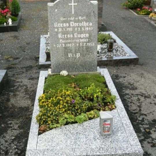 1697444475740.webp