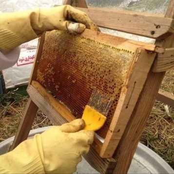 1697968180983.webp