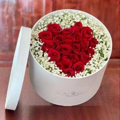 1698051865462.webp