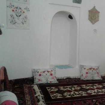 1699261000323.webp