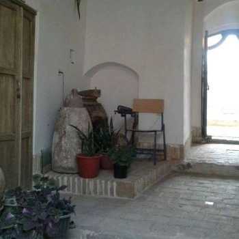 1699261037628.webp