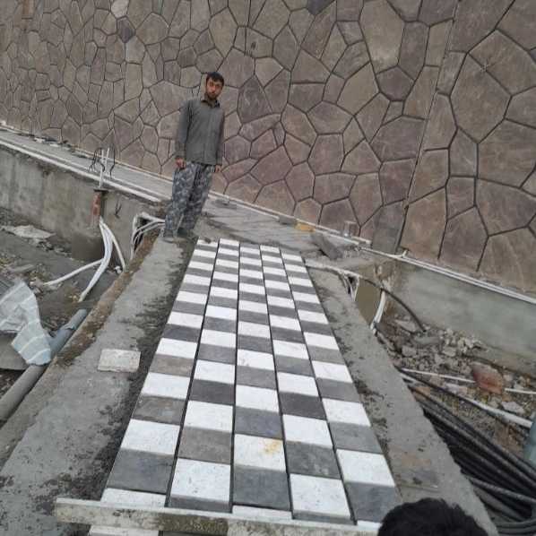 1699889483045.webp