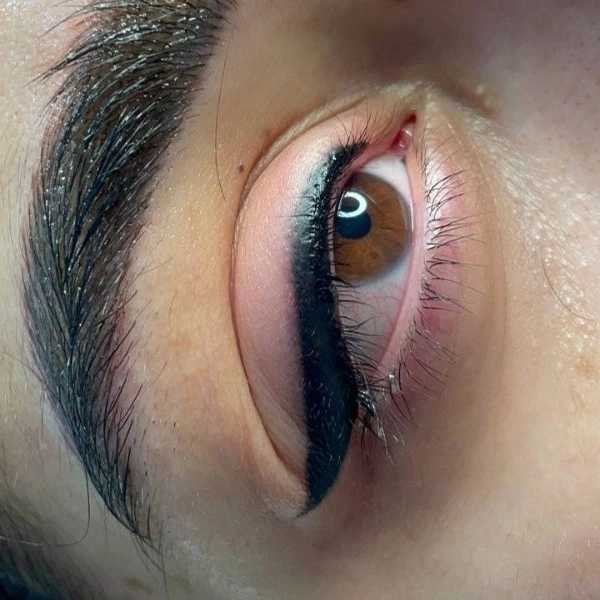 1700979339583.webp