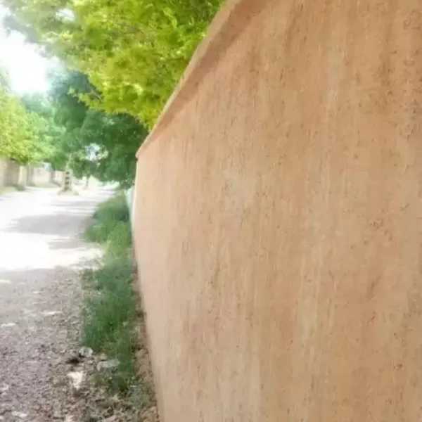 1701255159132.webp
