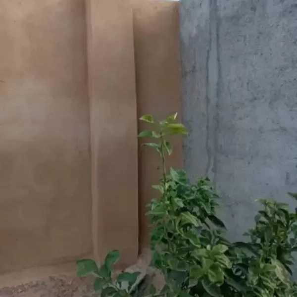 1701255194459.webp