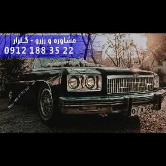 1701338955450.webp