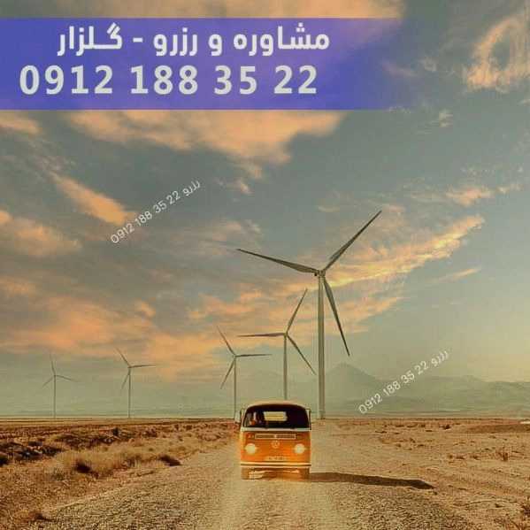 1701339052699.webp