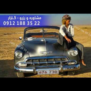 1701339248139.webp