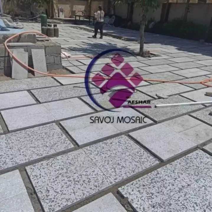 1702546114304.webp