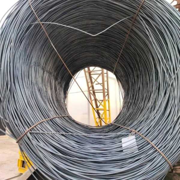1705823691123.webp