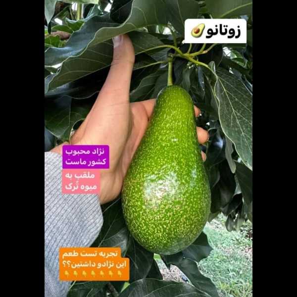 1706523458226.webp