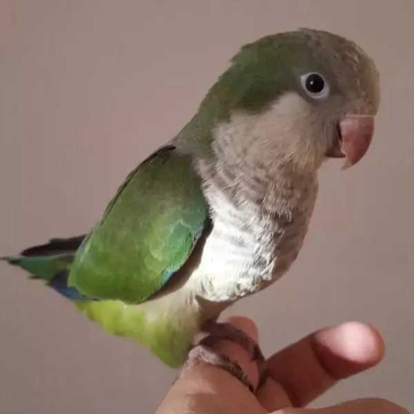 1706527495792.webp