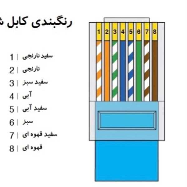 1706604674818.webp