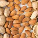 فروش عمده و صادرات بادام درختی بهاءلو در تهران
