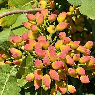 1707824766180.webp