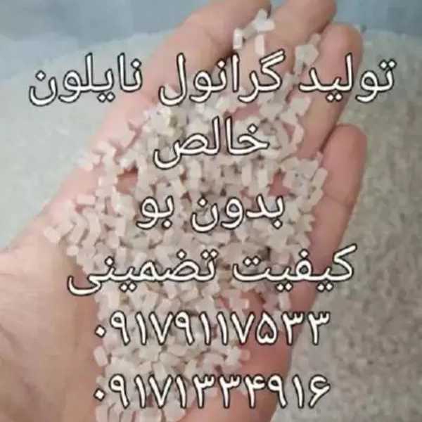 1708501677042.webp